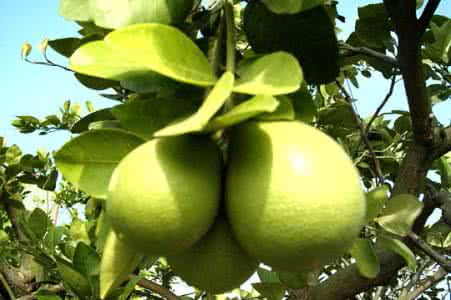 开云体育投注案例展示七